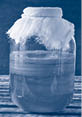 Kombucha is fermented tea. Not only does it have the same benefits as tea, but it is also rich in useful probiotics.