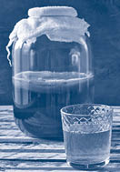Kombucha is fermented tea. Not only does it have the same benefits as tea, but it is also rich in useful probiotics.