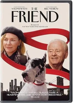 DVD cover