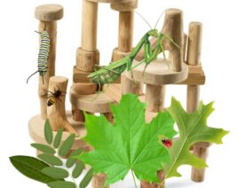 Nature Kit