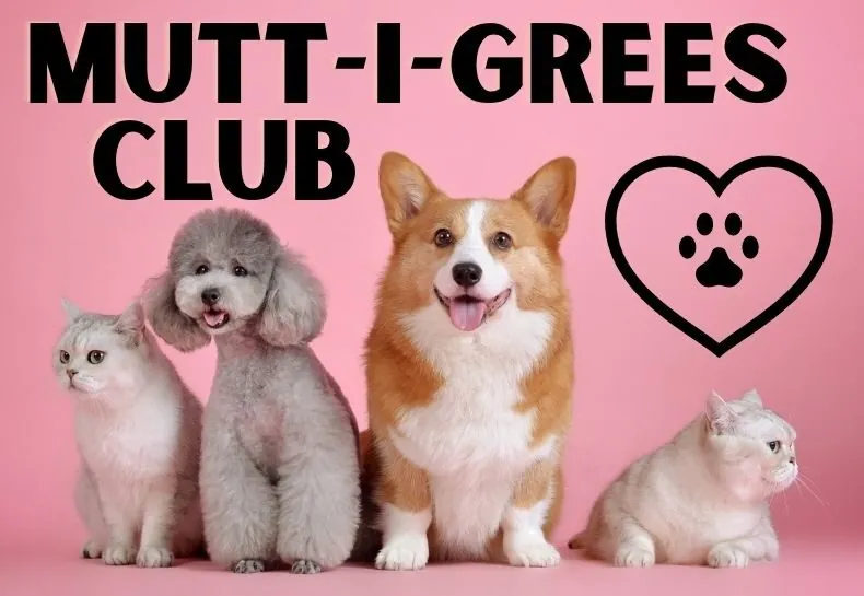 Mutt-I-Grees Club