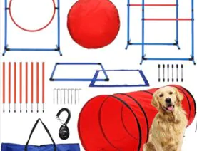 dog agility training kit