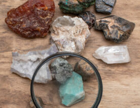 Rock Mineral and Fossil Kit
