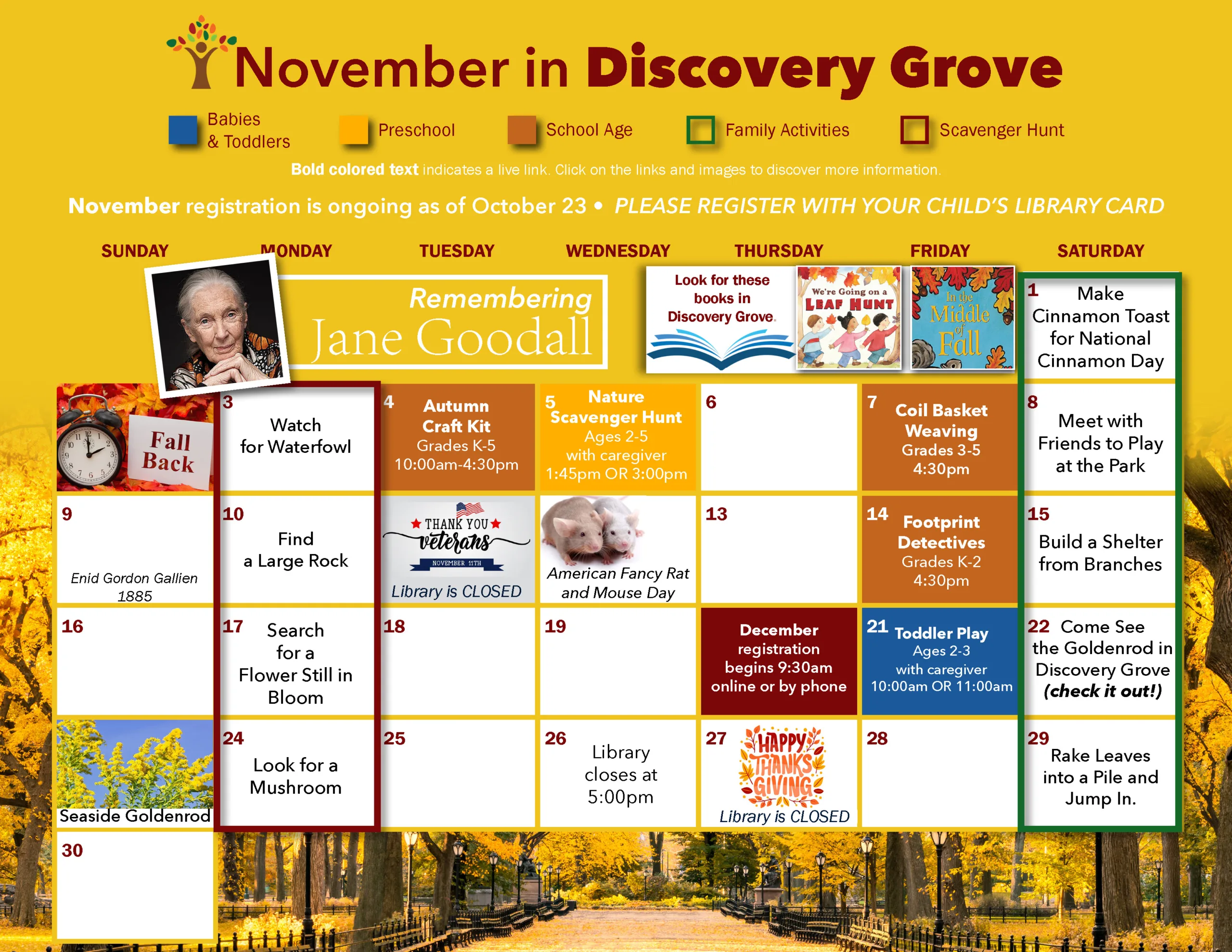 November in Discovery Grove