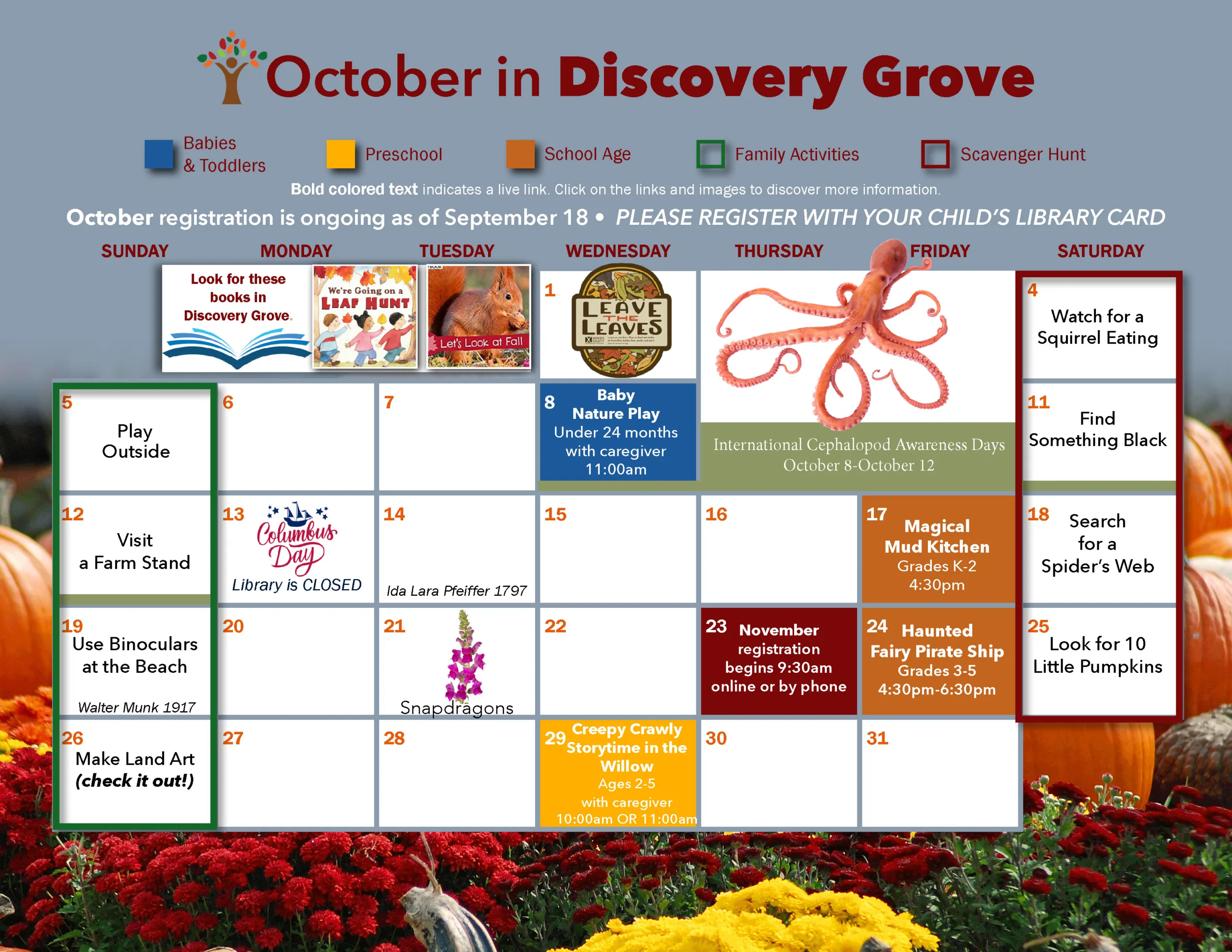 October in Discovery Grove