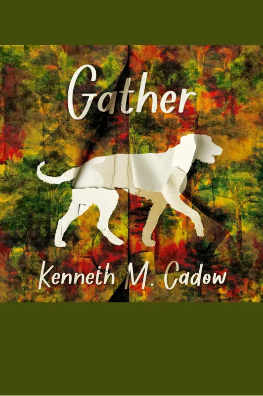 audiobook cover