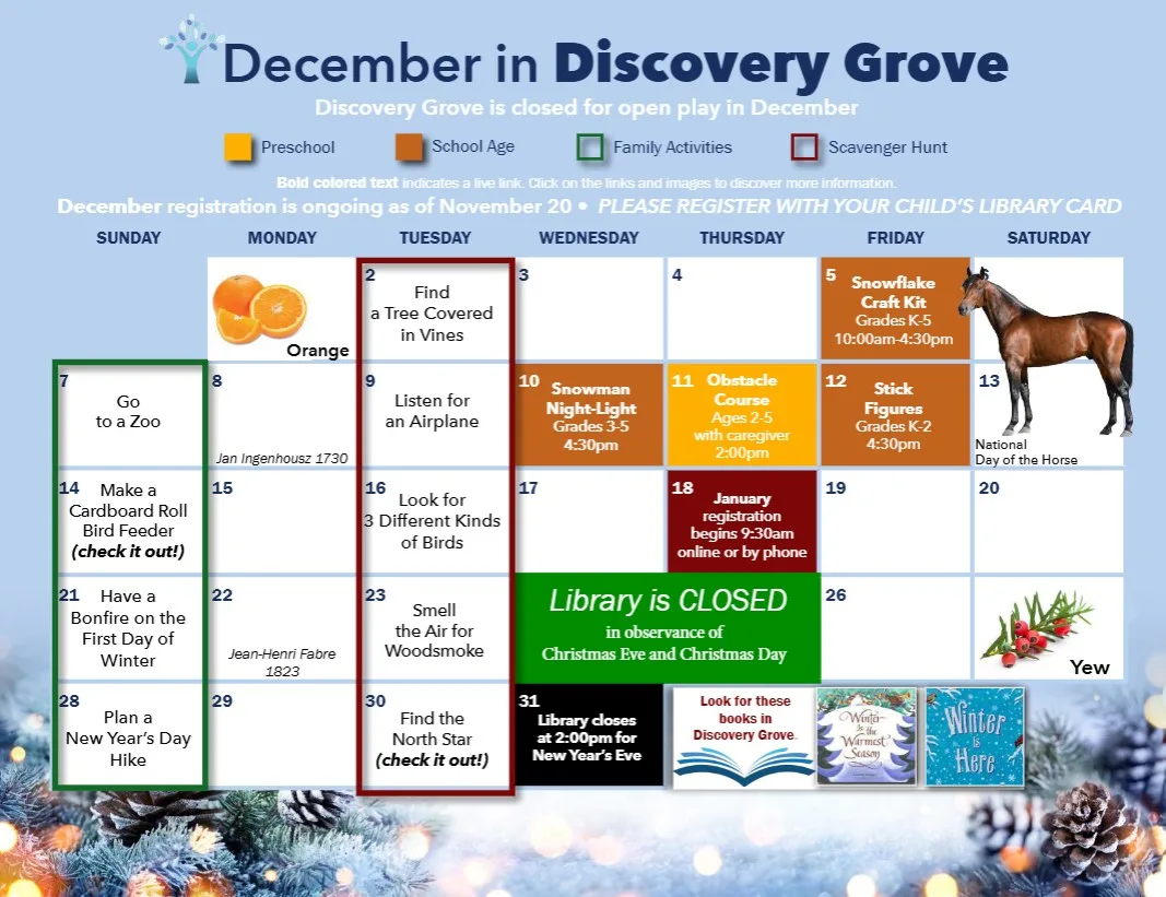 December in Discovery Grove