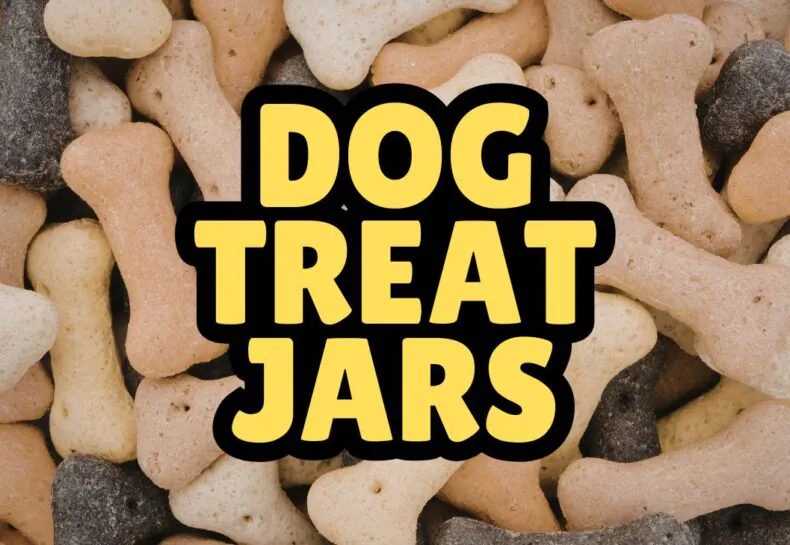 Dog Treat Jars