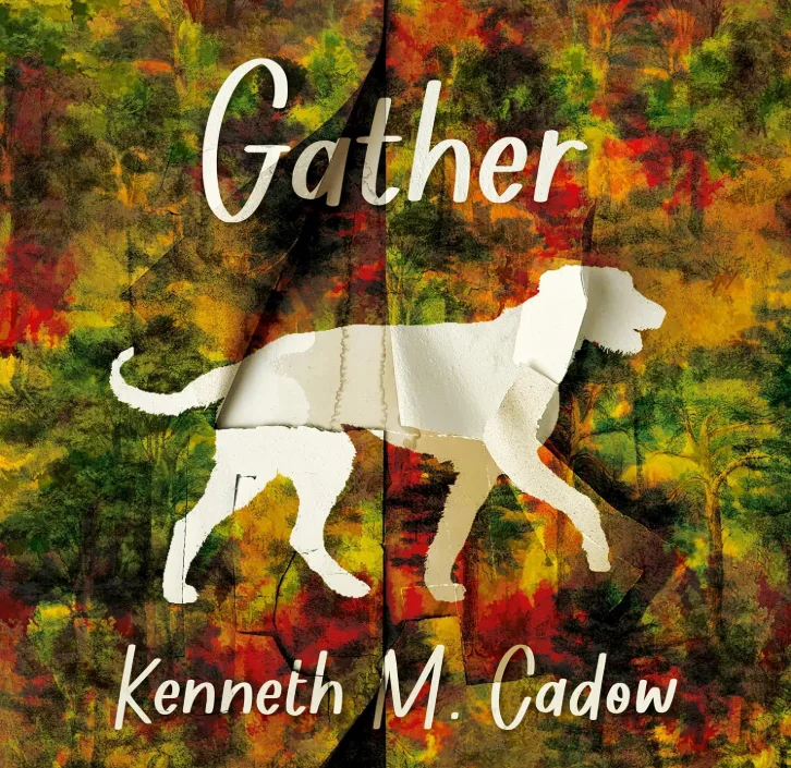 audiobook cover