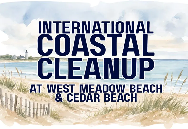 International Coastal Cleanup: Turn the Tide on Trash