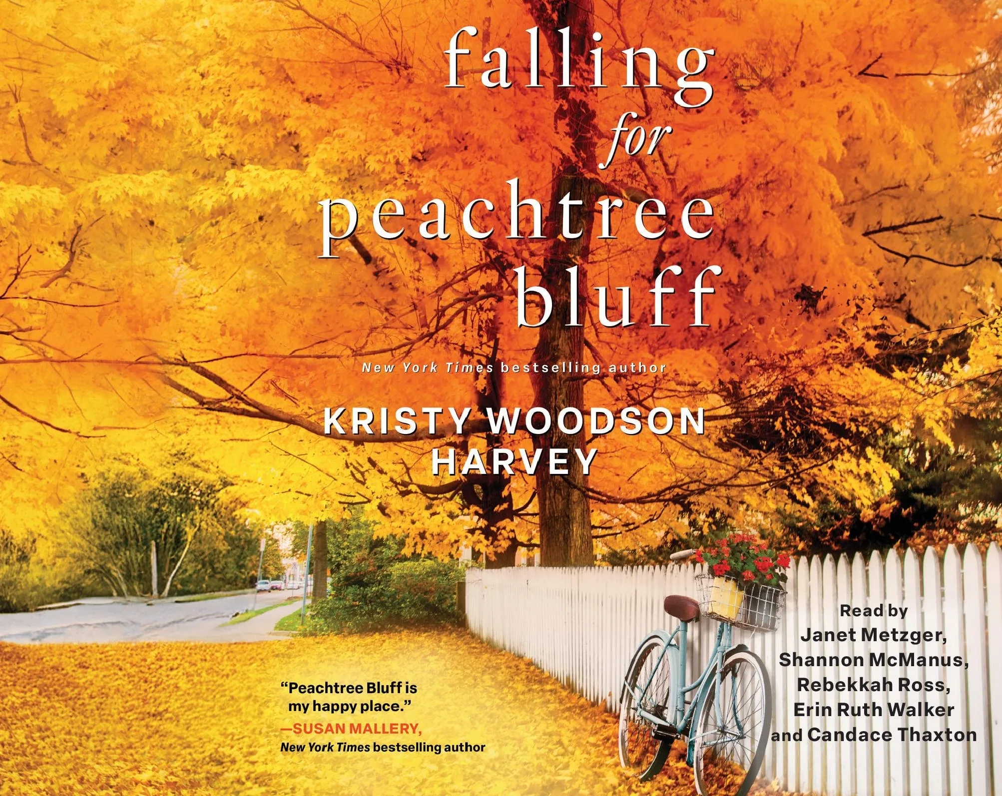 audiobook cover
